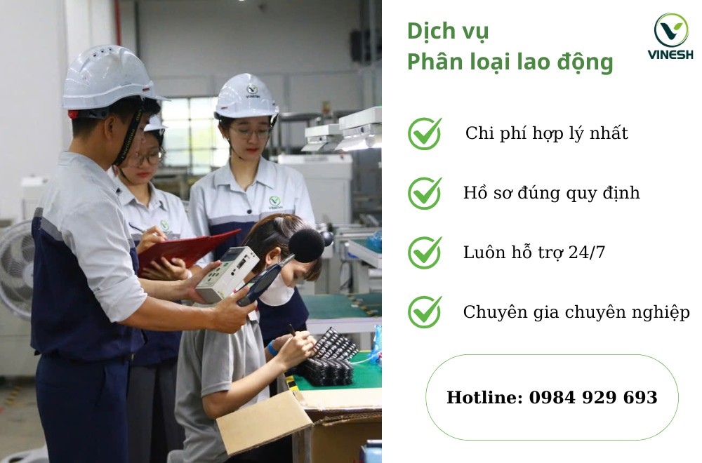 Dich-vu-phan-loai-lao-dong-cua-Vinesh.